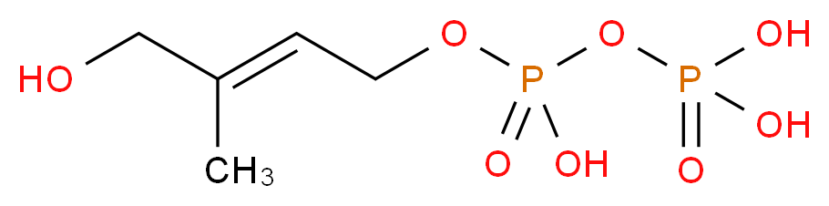162219422 分子结构