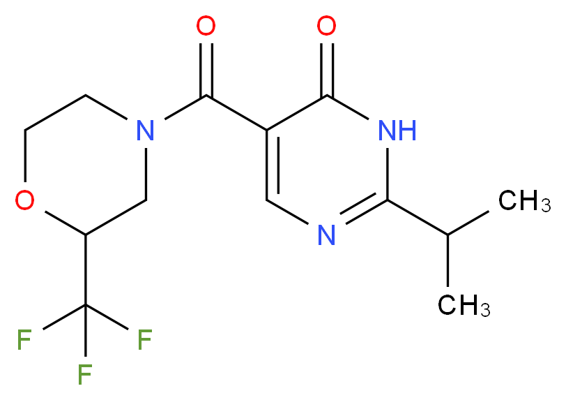  分子结构