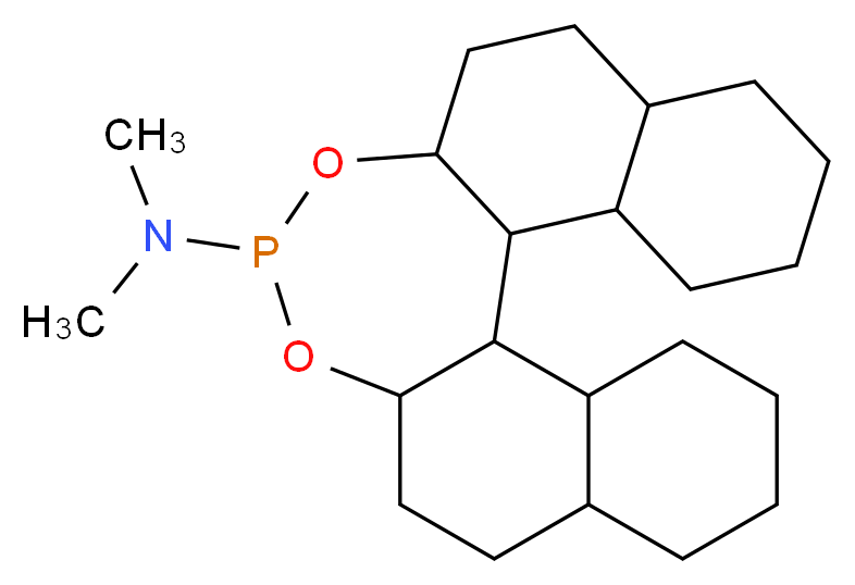 N,N-dimethyl-12,14-dioxa-13-phosphapentacyclo[13.8.0.0<sup>2</sup>,<sup>1</sup><sup>1</sup>.0<sup>3</sup>,<sup>8</sup>.0<sup>1</sup><sup>8</sup>,<sup>2</sup><sup>3</sup>]tricosan-13-amine_分子结构_CAS_185449-80-3