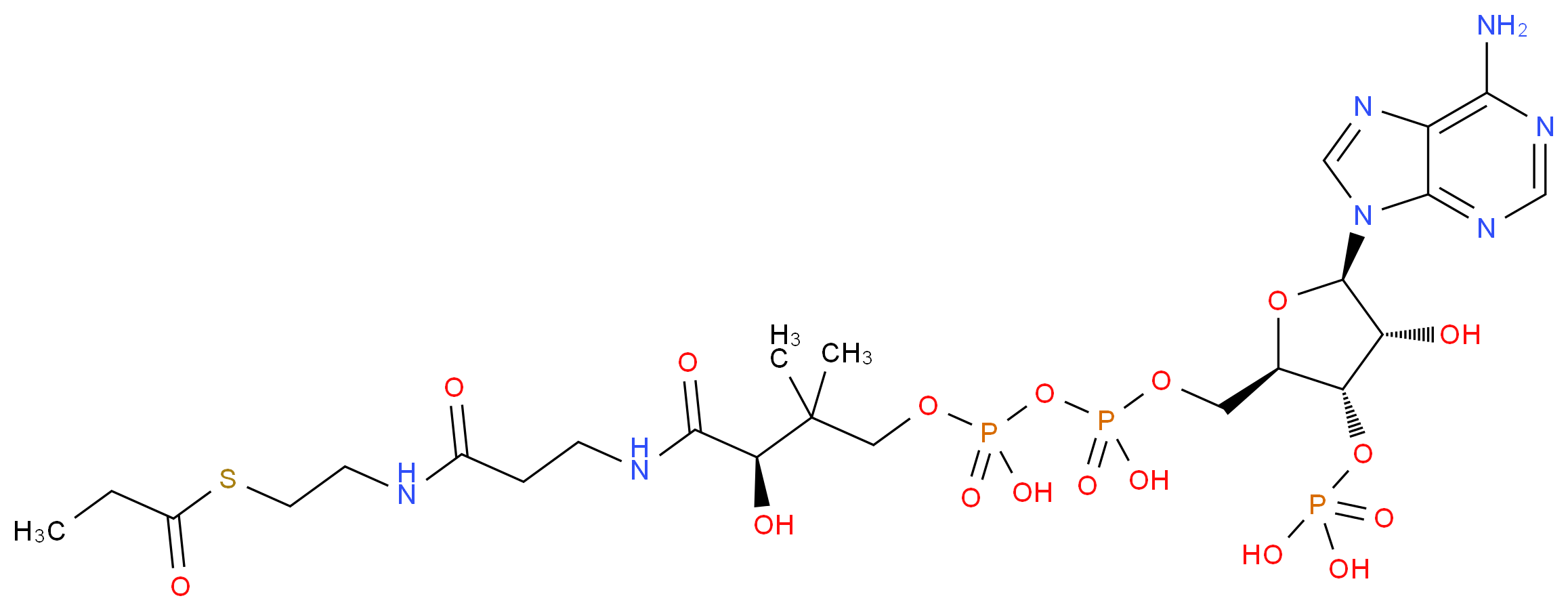 Propionyl Coenzyme A_分子结构_CAS_317-66-8)