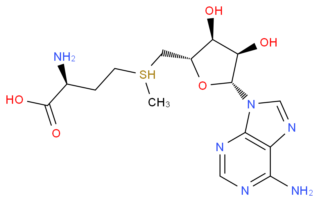 _分子结构_CAS_)