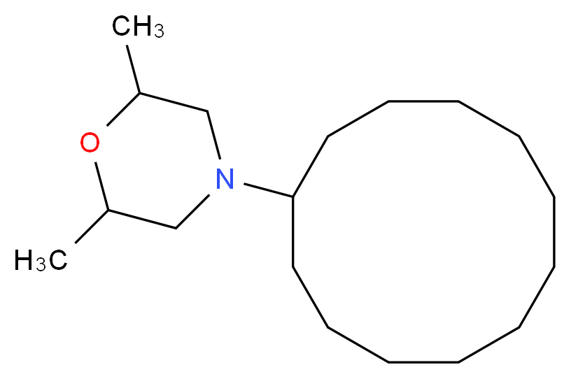 4-cyclododecyl-2,6-dimethylmorpholine_分子结构_CAS_1593-77-7