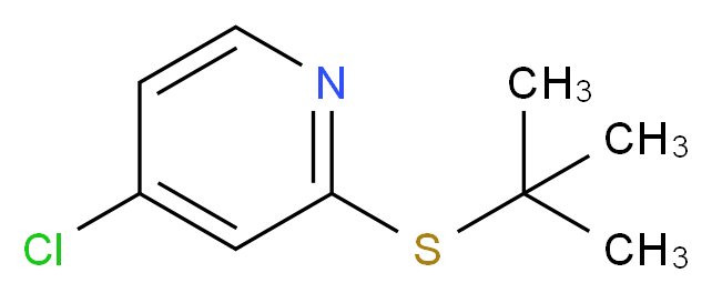 2-(tert-butylsulfanyl)-4-chloropyridine_分子结构_CAS_1346707-28-5