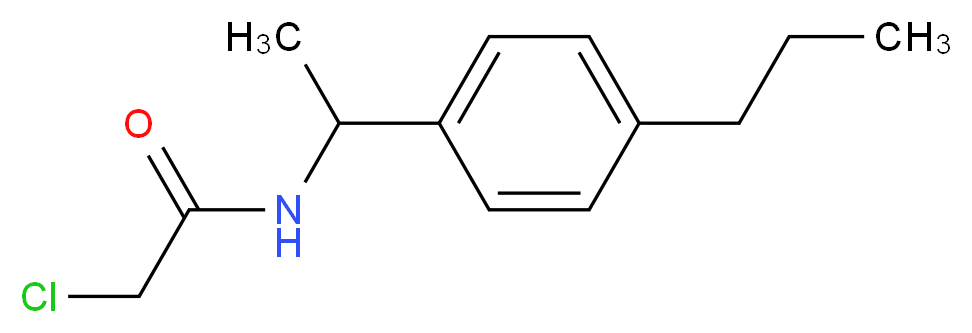 2-chloro-N-[1-(4-propylphenyl)ethyl]acetamide_分子结构_CAS_915921-90-3