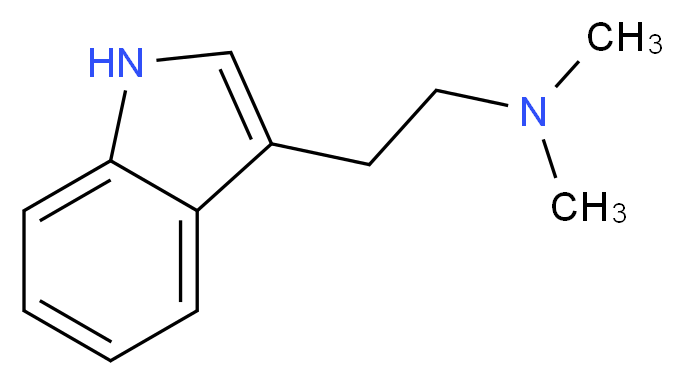 [2-(1H-indol-3-yl)ethyl]dimethylamine_分子结构_CAS_61-50-7
