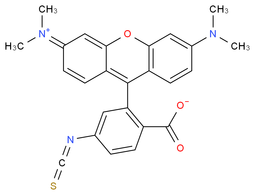 Tetramethylrhodamine isothiocyanate Isomer R_分子结构_CAS_80724-20-5)