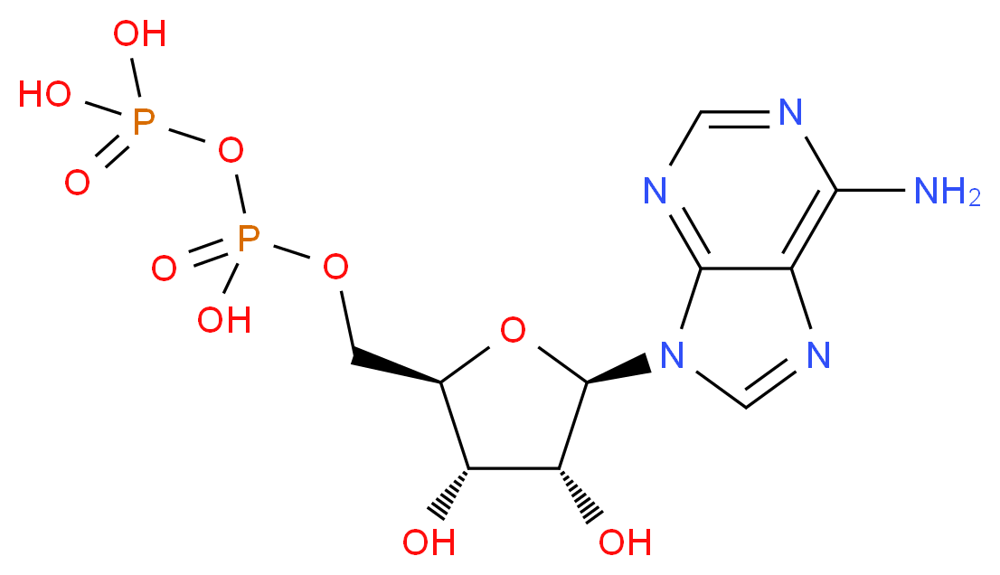 Adenosine diphosphate_分子结构_CAS_58-64-0)