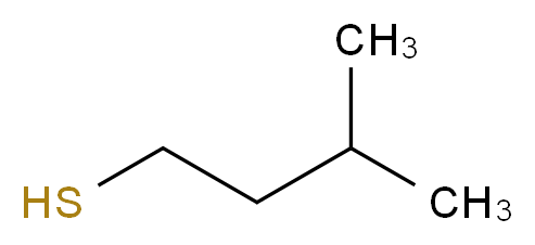 3-methylbutane-1-thiol_分子结构_CAS_)