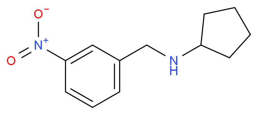 N-(3-nitrobenzyl)cyclopentanamine_分子结构_CAS_355382-02-4)