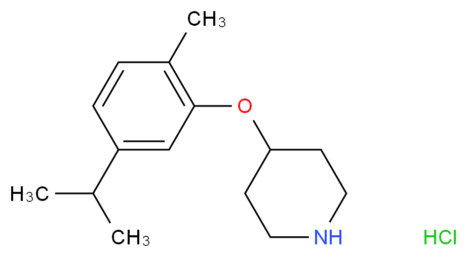 4-(5-Isopropyl-2-methylphenoxy)piperidine hydrochloride_分子结构_CAS_)