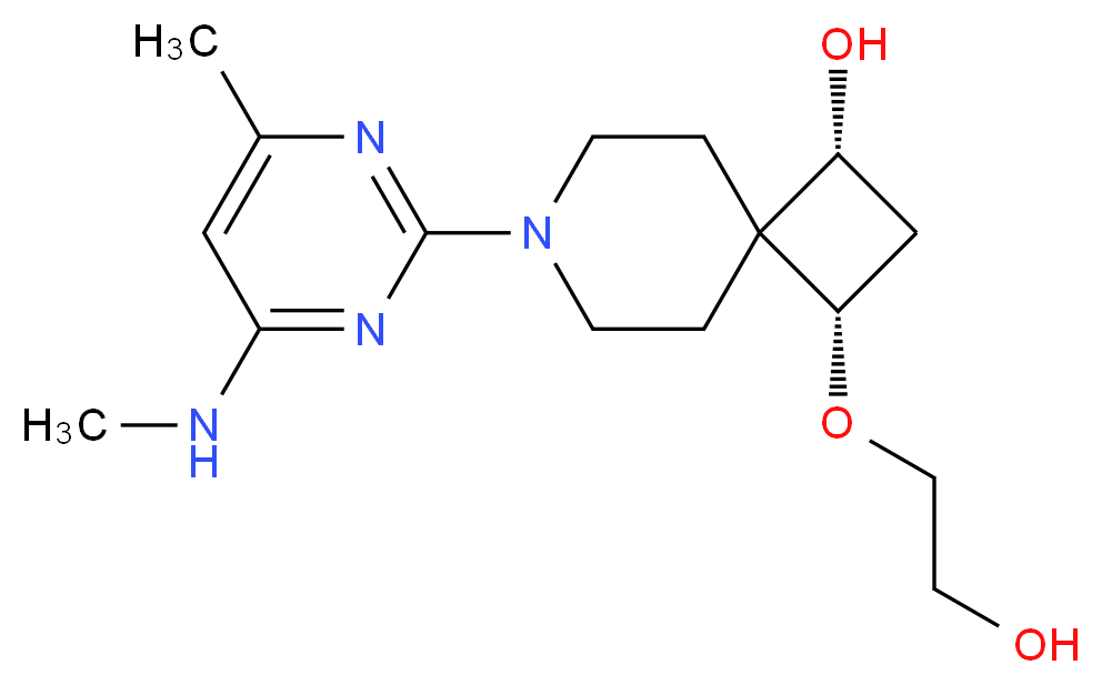  分子结构