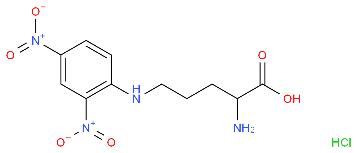 2-amino-5-[(2,4-dinitrophenyl)amino]pentanoic acid hydrochloride_分子结构_CAS_64821-45-0