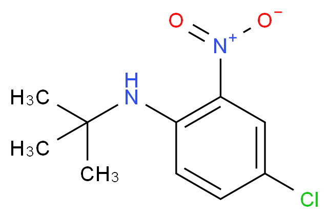 N-tert-Butyl-4-chloro-2-nitroaniline_分子结构_CAS_)