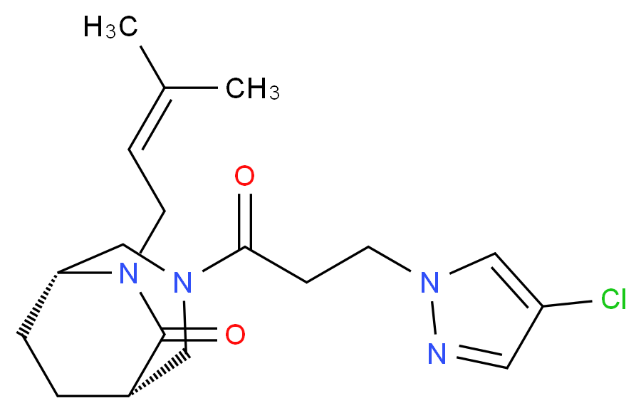  分子结构