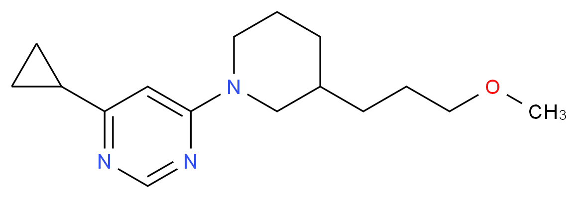  分子结构