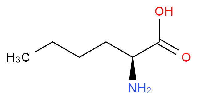 Norleucine_分子结构_CAS_)