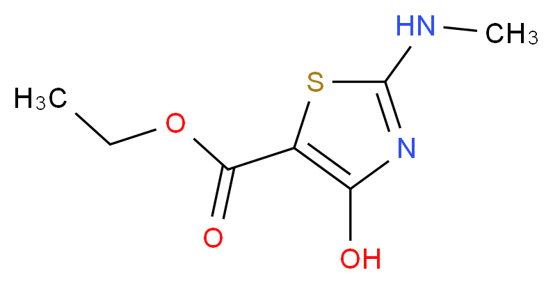 Ethyl 4-hydroxy-2-methylaminothiazole-5-carboxylate_分子结构_CAS_914347-44-7)
