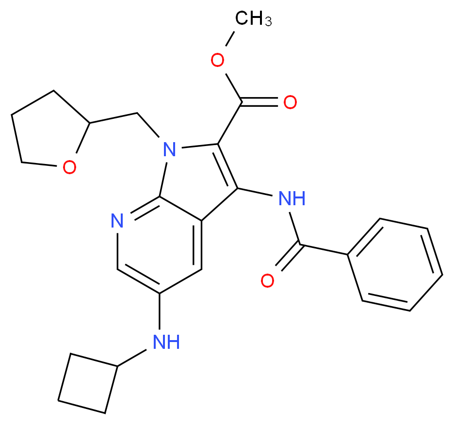  分子结构