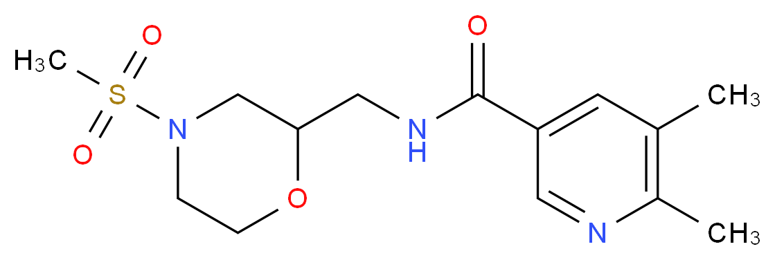  分子结构