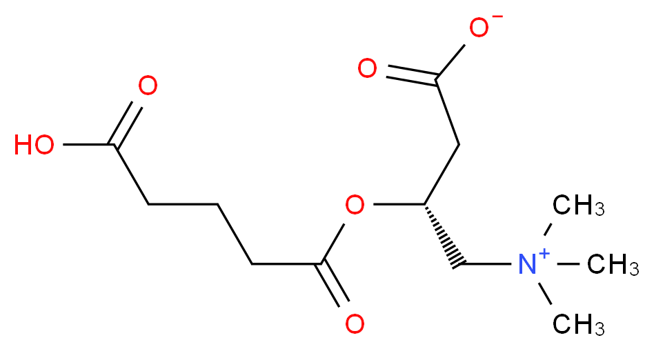 (3R)-3-[(4-carboxybutanoyl)oxy]-4-(trimethylazaniumyl)butanoate_分子结构_CAS_102636-82-8