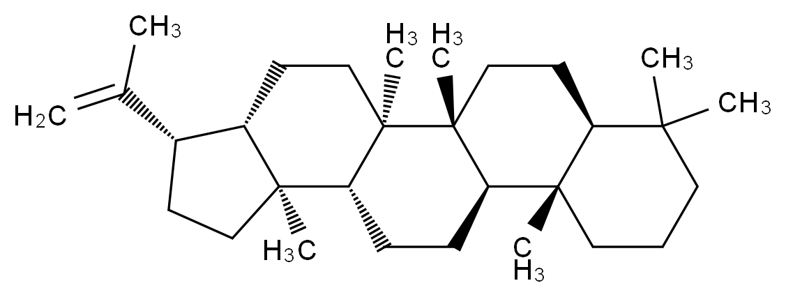 (1R,2R,5S,6S,9S,10R,13R,14S,19S)-1,2,9,14,18,18-hexamethyl-6-(prop-1-en-2-yl)pentacyclo[11.8.0.0<sup>2</sup>,<sup>1</sup><sup>0</sup>.0<sup>5</sup>,<sup>9</sup>.0<sup>1</sup><sup>4</sup>,<sup>1</sup><sup>9</sup>]henicosane_分子结构_CAS_1615-91-4