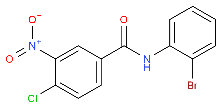 N-(2-Bromophenyl)-4-chloro-3-nitrobenzamide_分子结构_CAS_)