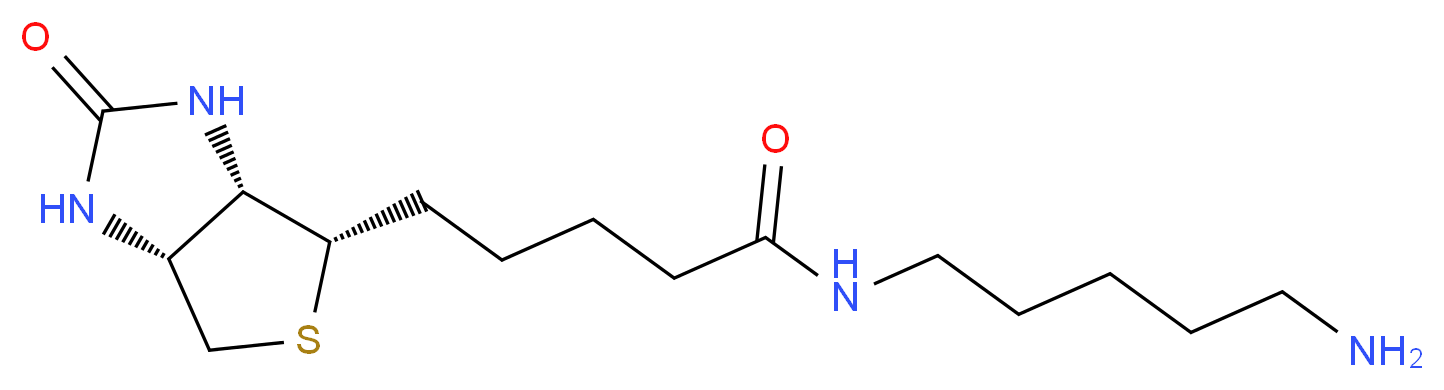 5-[(3aS,4S,6aR)-2-oxo-hexahydro-1H-thieno[3,4-d]imidazolidin-4-yl]-N-(5-aminopentyl)pentanamide_分子结构_CAS_115416-38-1