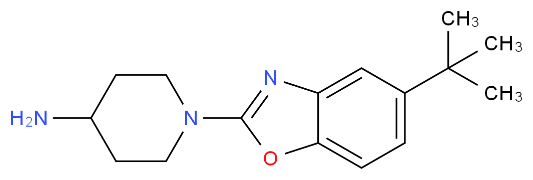 1-(5-tert-butyl-1,3-benzoxazol-2-yl)piperidin-4-amine_分子结构_CAS_1035840-48-2)