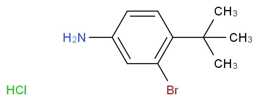3-BroMo-4-(tert-butyl)aniline hydrochloride_分子结构_CAS_63818-33-7)
