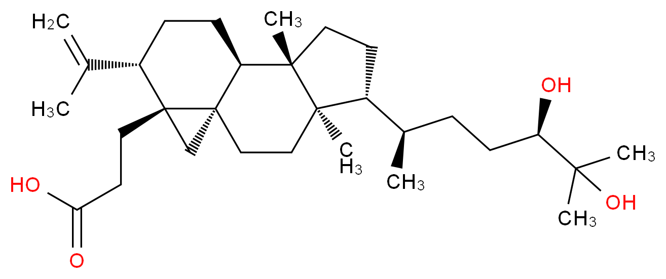 CAS_ 分子结构