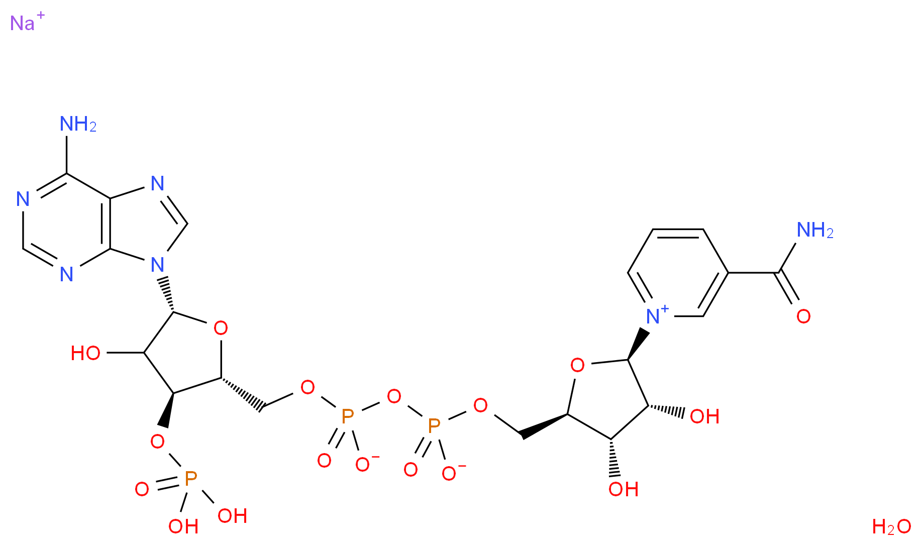 β-Nicotinamide adenine dinucleotide 3′-phosphate sodium salt hydrate_分子结构_CAS_)