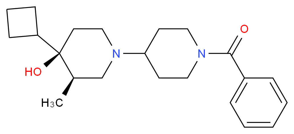  分子结构