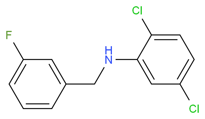 2,5-dichloro-N-[(3-fluorophenyl)methyl]aniline_分子结构_CAS_1036448-49-3