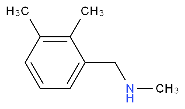 [(2,3-dimethylphenyl)methyl](methyl)amine_分子结构_CAS_110931-75-4