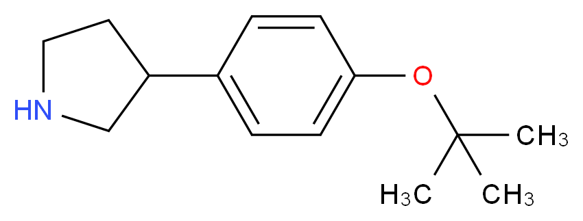 3-[4-(tert-butoxy)phenyl]pyrrolidine_分子结构_CAS_885277-97-4