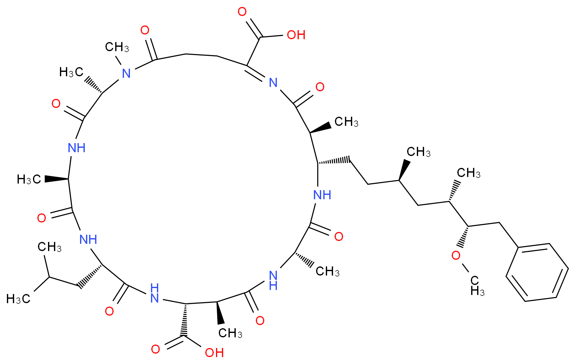 CAS_ 分子结构