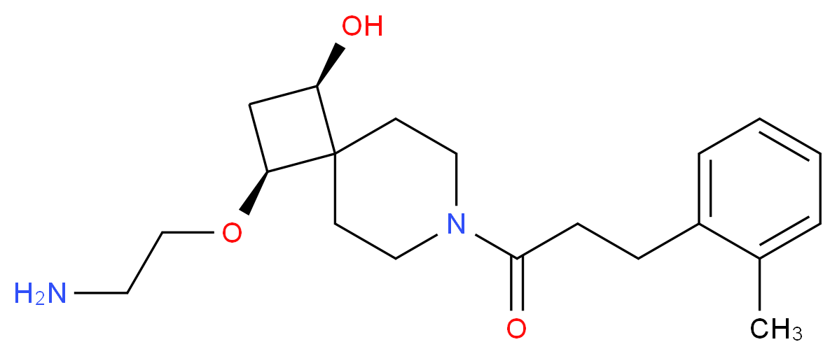  分子结构