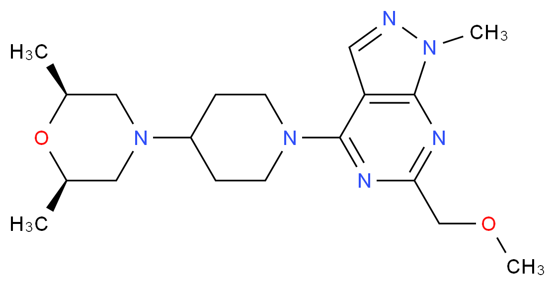  分子结构