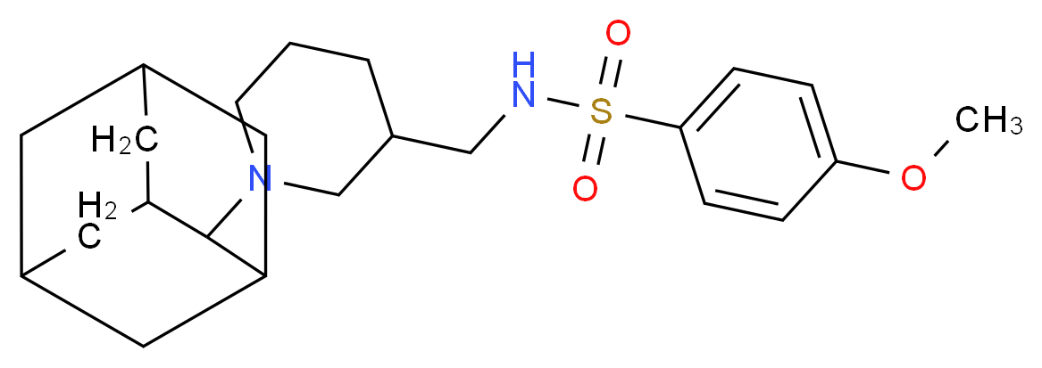  分子结构