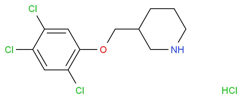 MFCD13561059 分子结构