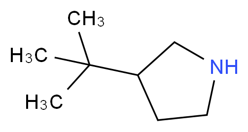 3-tert-butylpyrrolidine_分子结构_CAS_381665-66-3