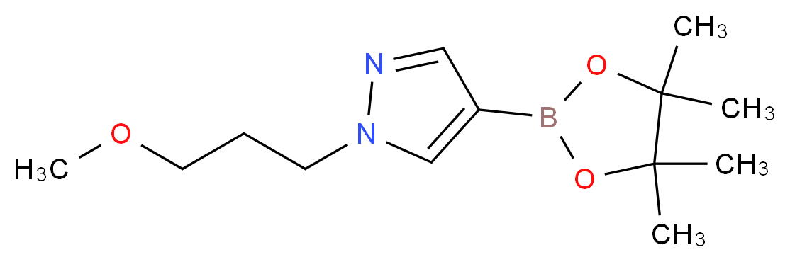 1-(3-methoxypropyl)-4-(tetramethyl-1,3,2-dioxaborolan-2-yl)-1H-pyrazole_分子结构_CAS_1000801-76-2