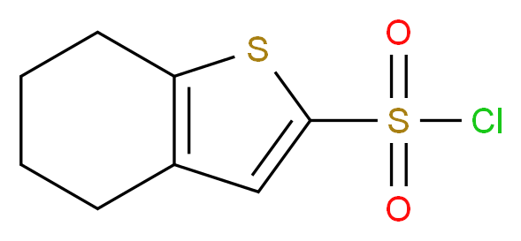 4,5,6,7-Tetrahydrobenzo[b]thiophene-2-sulphonyl chloride_分子结构_CAS_)