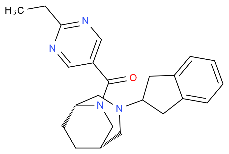  分子结构