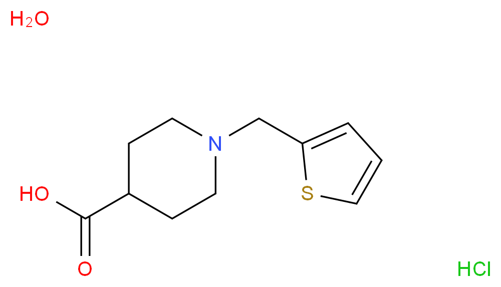 1-(thiophen-2-ylmethyl)piperidine-4-carboxylic acid hydrate hydrochloride_分子结构_CAS_944450-84-4