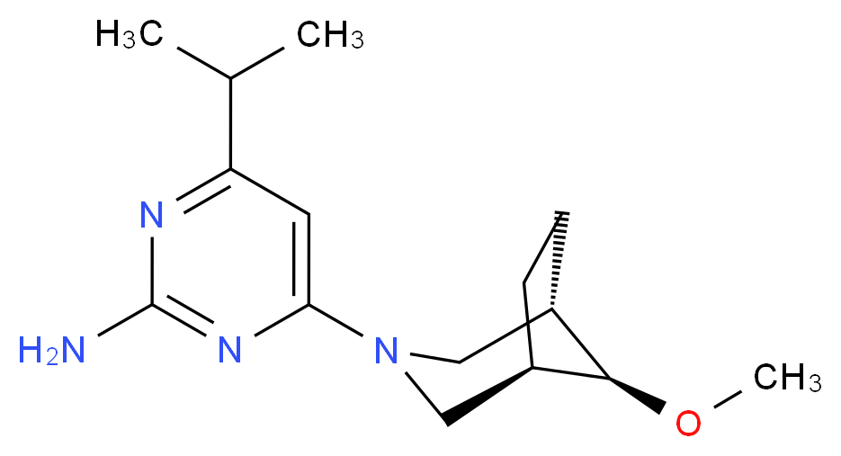  分子结构