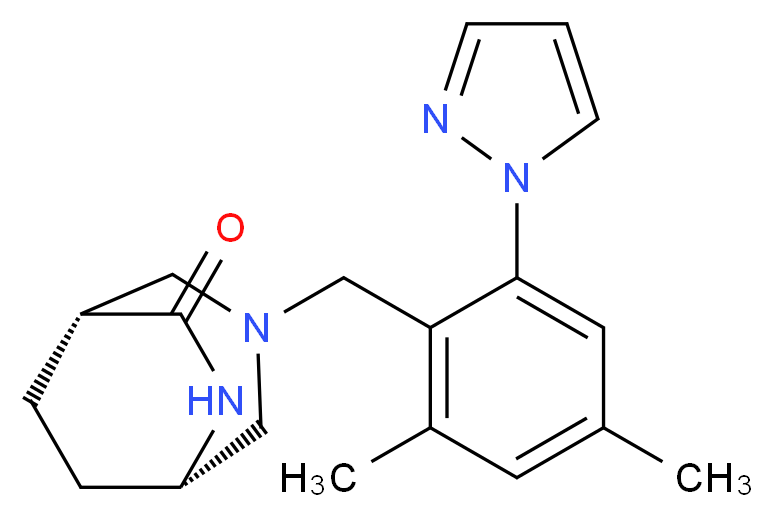  分子结构