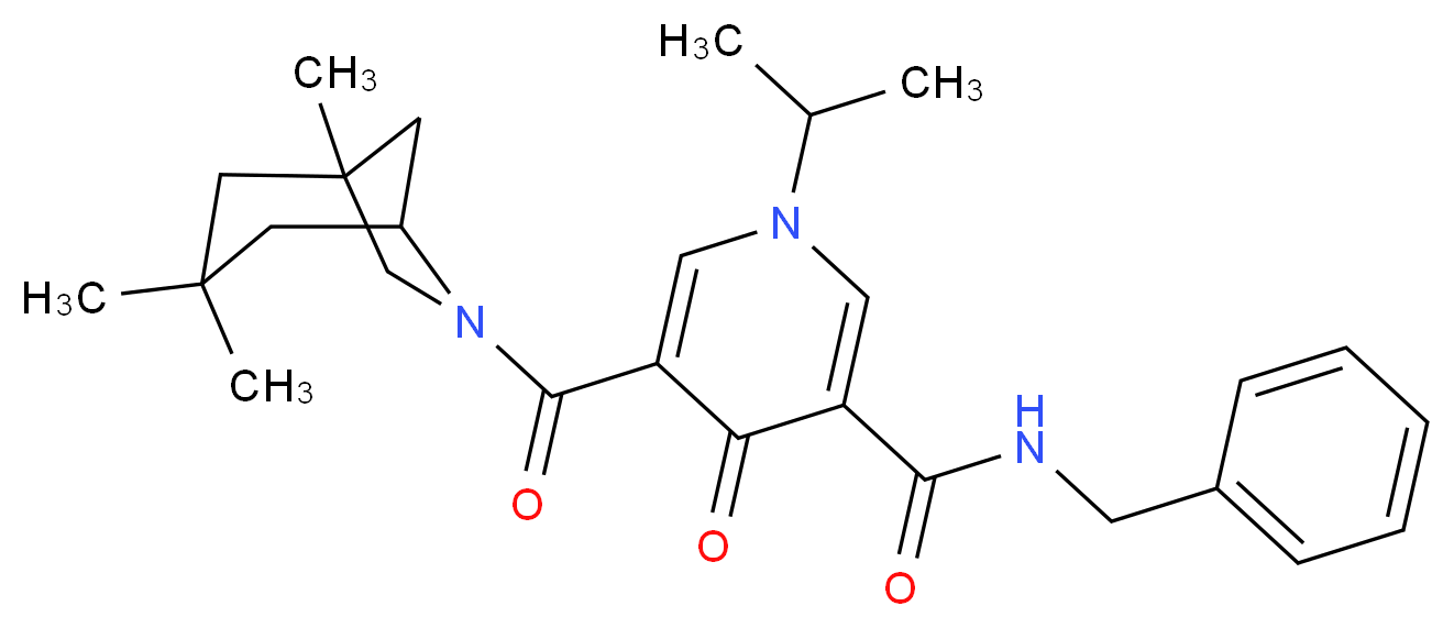  分子结构