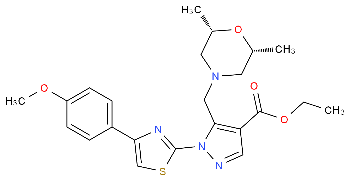  分子结构
