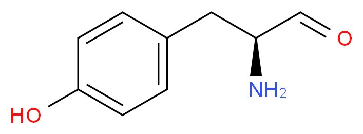 46505540 分子结构